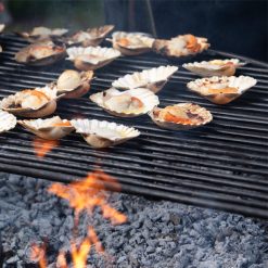 Half Moon BBQ Rack All Bar - Scallops cooking - Firepits UK - WEB 600x600 - Lo Res